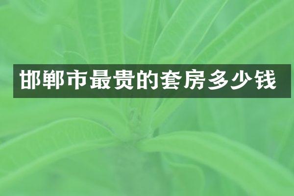 邯郸市最贵的套房多少钱
