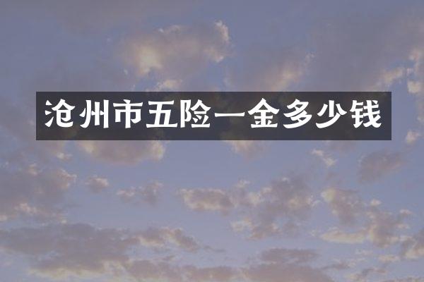 沧州市五险一金多少钱