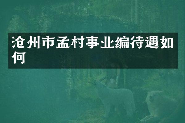 沧州市孟村事业编待遇如何