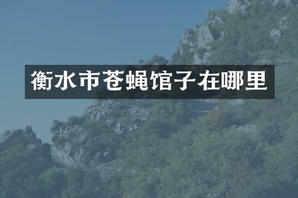 衡水市苍蝇馆子在哪里