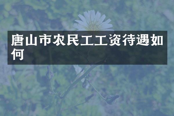 唐山市农民工工资待遇如何