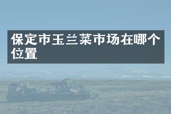 保定市玉兰菜市场在哪个位置