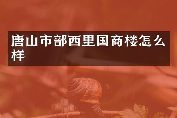 唐山市部西里国商楼怎么样