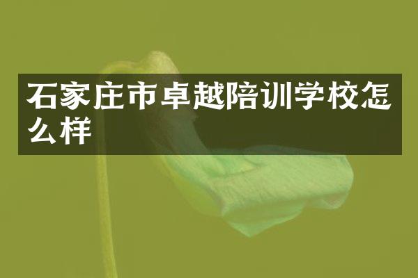 石家庄市卓越陪训学校怎么样