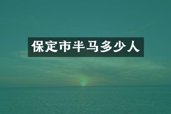 保定市半马多少人