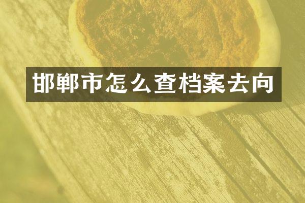 邯郸市怎么查档案去向