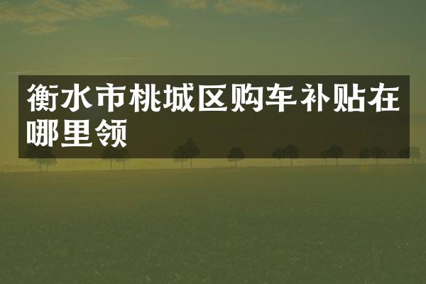 衡水市桃城区购车补贴在哪里领