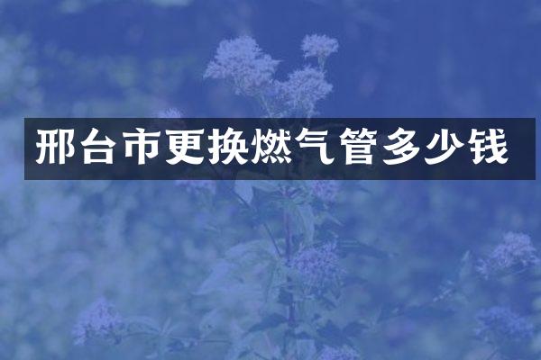 邢台市更换燃气管多少钱