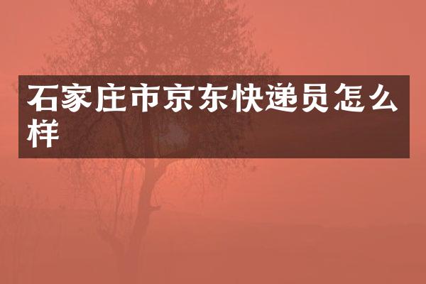 石家庄市京东快递员怎么样