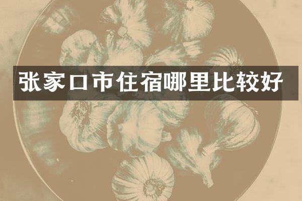 张家口市住宿哪里比较好