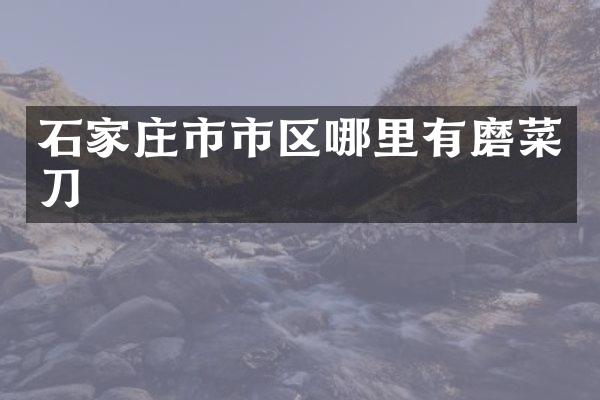 石家庄市市区哪里有磨菜刀