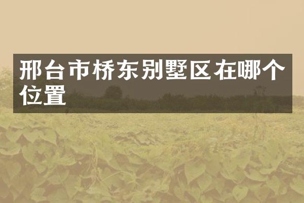 邢台市桥东别墅区在哪个位置