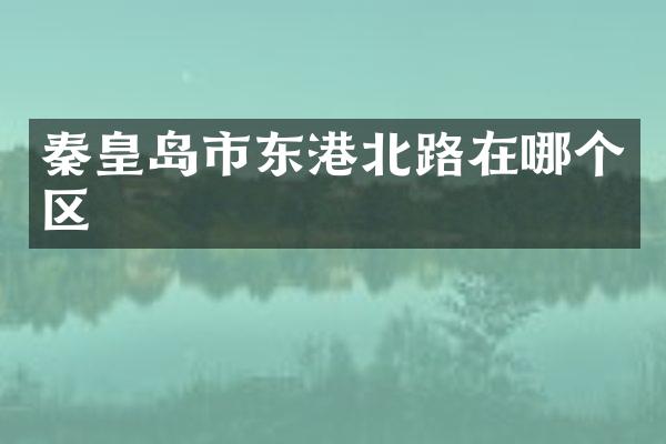 秦皇岛市东港北路在哪个区