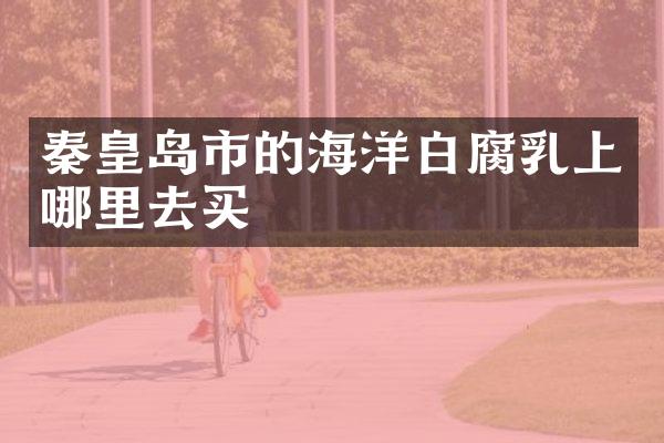 秦皇岛市的海洋白腐乳上哪里去买