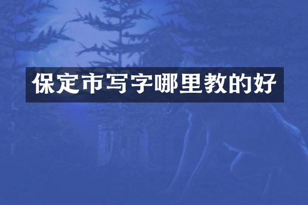保定市写字哪里教的好