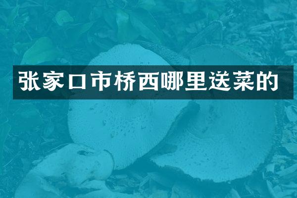 张家口市桥西哪里送菜的