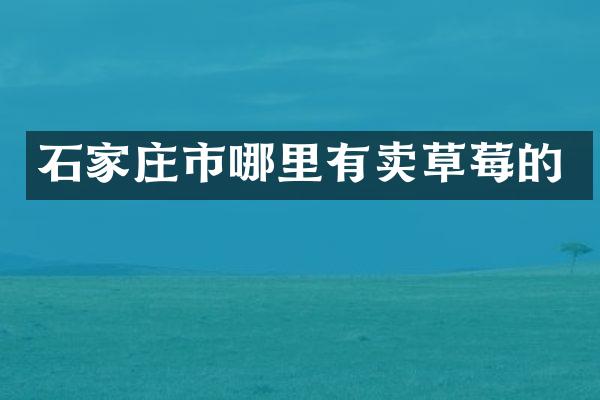 石家庄市哪里有卖草莓的