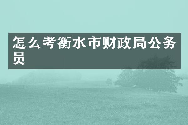 怎么考衡水市财政局公务员