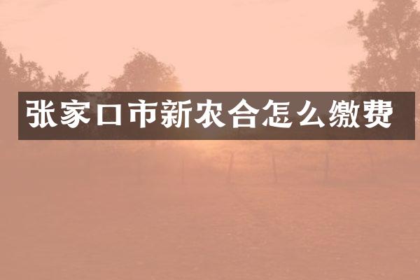 张家口市新农合怎么缴费