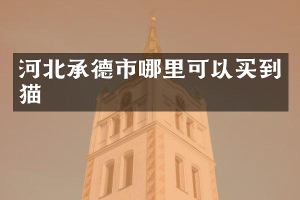 河北承德市哪里可以买到猫