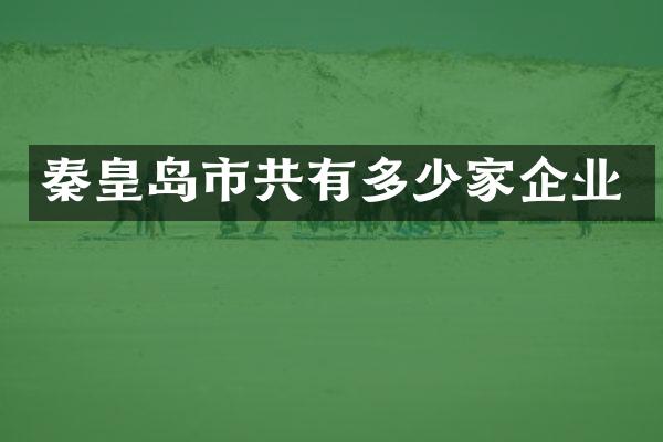 秦皇岛市共有多少家企业