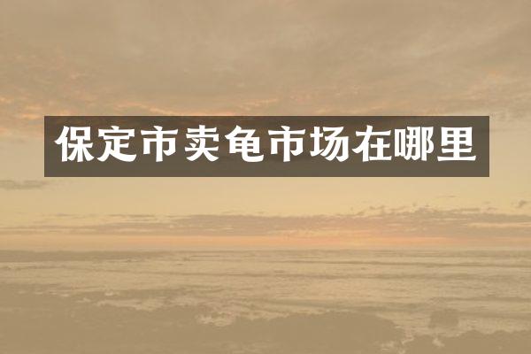 保定市卖龟市场在哪里