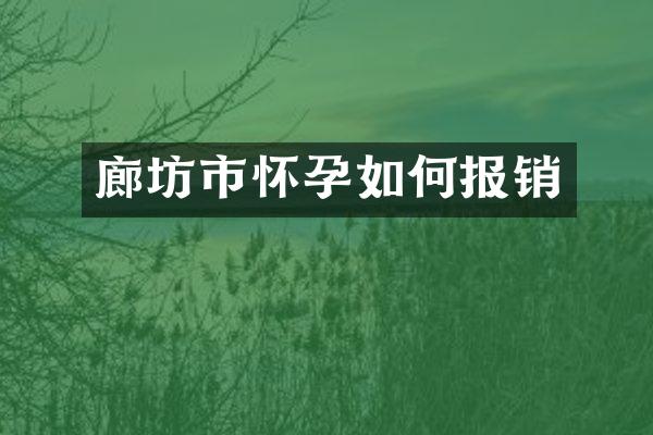廊坊市怀孕如何报销