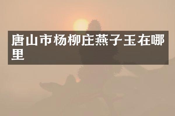 唐山市杨柳庄燕子玉在哪里
