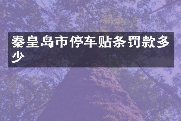秦皇岛市停车贴条罚款多少