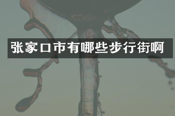 张家口市有哪些步行街啊