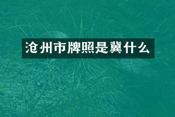 沧州市牌照是冀什么