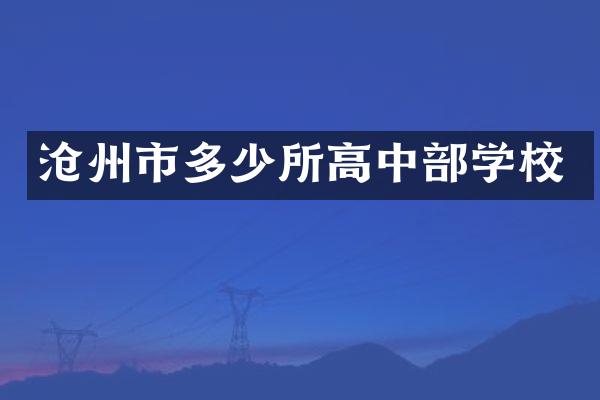 沧州市多少所高中部学校