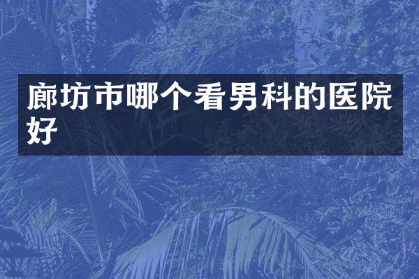廊坊市哪个看男科的医院好