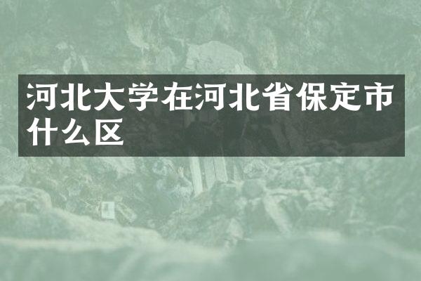 河北大学在河北省保定市什么区