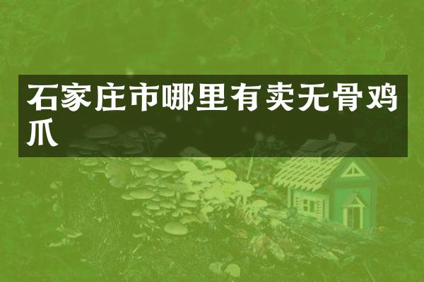 石家庄市哪里有卖无骨鸡爪