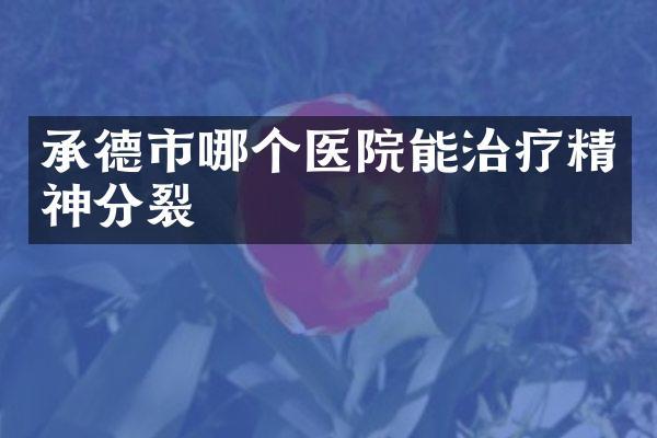 承德市哪个医院能治疗精神分裂