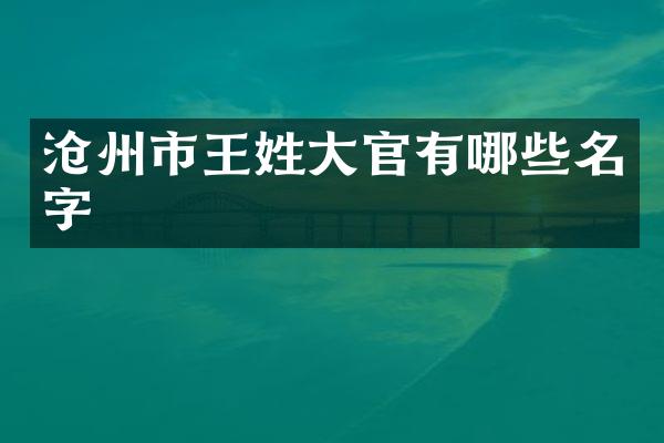 沧州市王姓大官有哪些名字