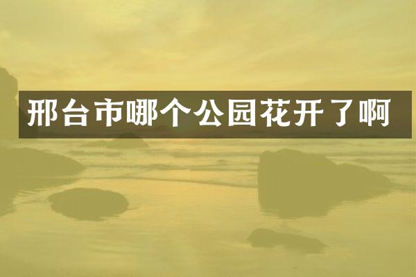 邢台市哪个公园花开了啊