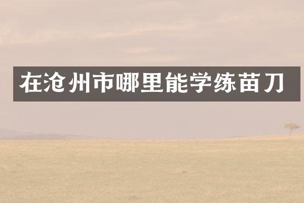 在沧州市哪里能学练苗刀