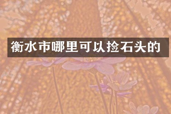 衡水市哪里可以捡石头的