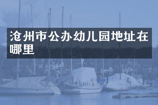 沧州市公办幼儿园地址在哪里