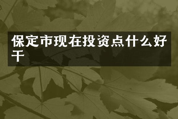 保定市现在投资点什么好干