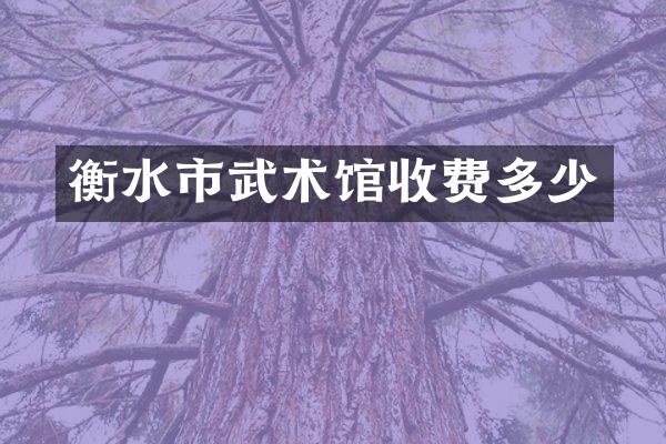 衡水市武术馆收费多少