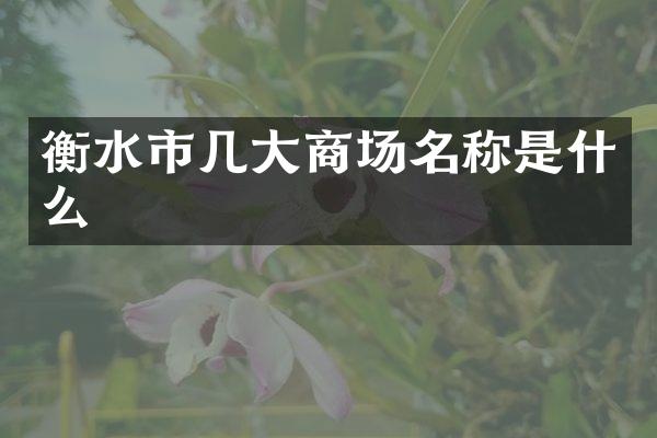 衡水市几大商场名称是什么