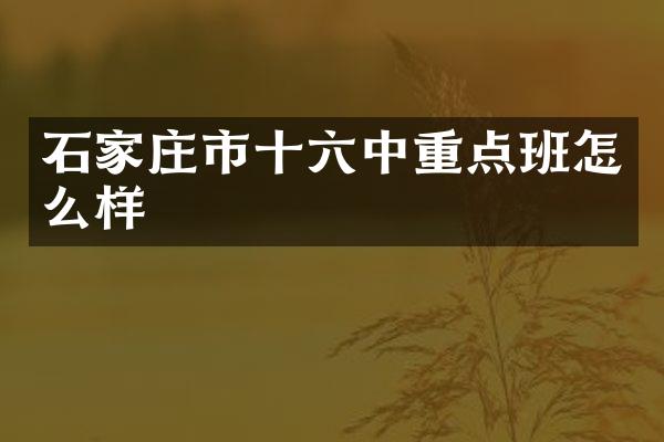 石家庄市十六中重点班怎么样