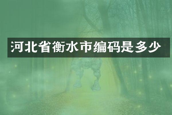 河北省衡水市编码是多少