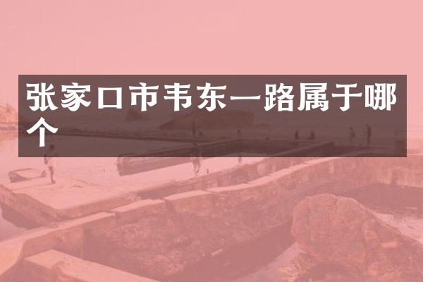 张家口市韦东一路属于哪个