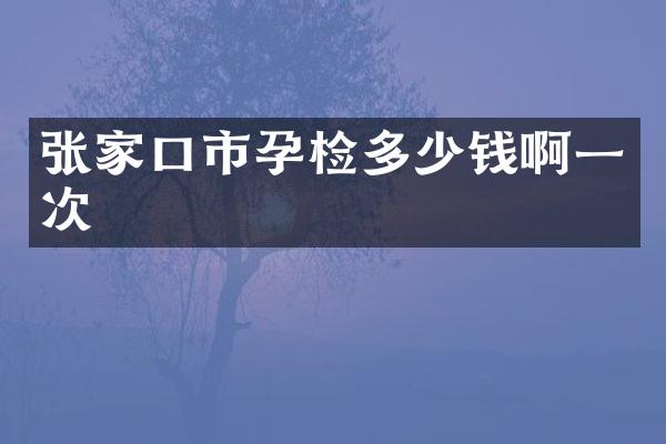 张家口市孕检多少钱啊一次