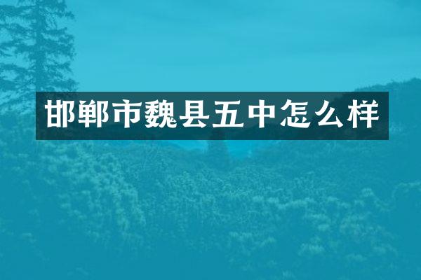 邯郸市魏县五中怎么样