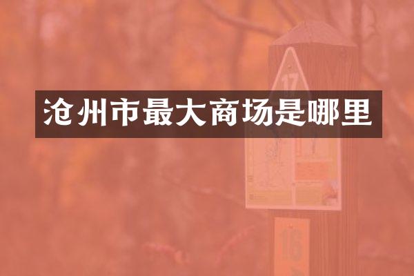 沧州市最大商场是哪里